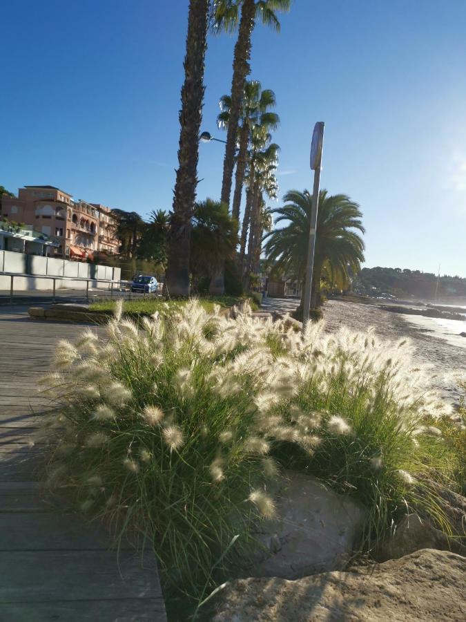 Appartement Ofdl B T1 Bandol - Briotine Foyalais Extérieur photo