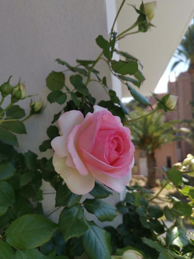 Appartement Ofdl B T1 Bandol - Briotine Foyalais Extérieur photo