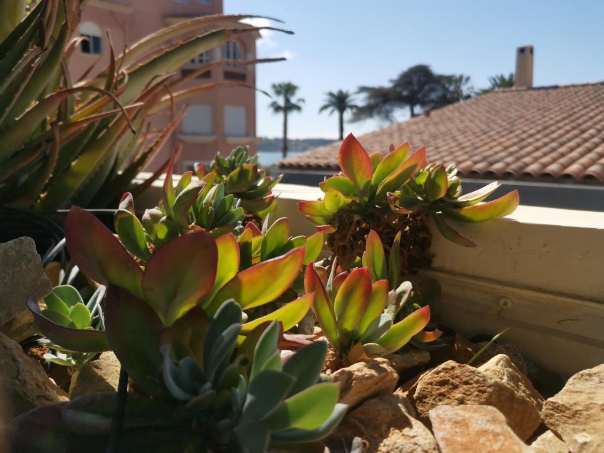 Appartement Ofdl B T1 Bandol - Briotine Foyalais Extérieur photo